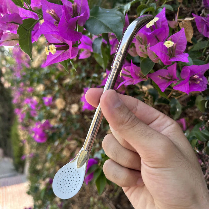 Bombilla Pico Loro Acero Inoxidable Con Limpiador